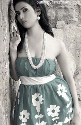 1906-282061.jpg
