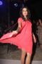 078-ICF Show.jpg