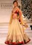 Manish Malhotras creation.jpg