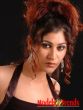 Anchal sabharwal