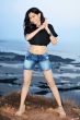 Pallavi