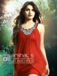 Dimpal Bhal